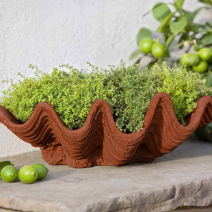 CAMPANIA INTERNATIONAL Handmade Pot Planter