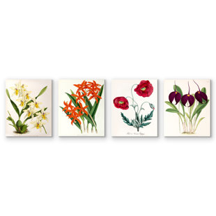 WILDON HOME® 4 Piece Wrapped Canvas & Framed Print Set - Fitch Orchid by New York Botanical Garden