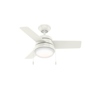 HUNTER FAN Aker 36" 3 - Blade Standard Ceiling Fan with Lights and Pull Chains