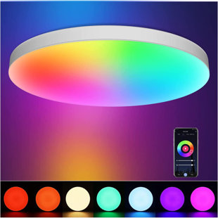 C&G HOME LED Flush Mount