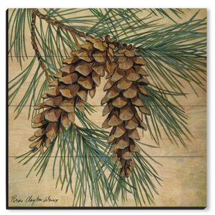 WGI-GALLERY Pine Cone On Wood by Weirs Print
