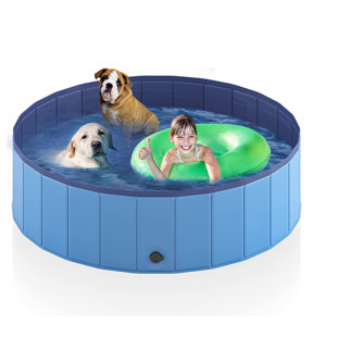 OAK DECOR BLAZE Foldable Plastic Dog Swimming Pool