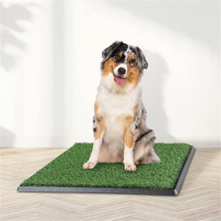 TUCKER MURPHY PET™ Pet Toilet, Dog's Natural Toilet, Lawn Tray Convenient And Easy To Use Indoors.