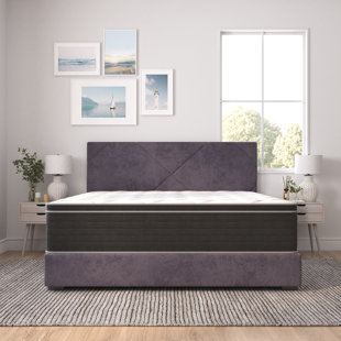 WAYFAIR SLEEP™ Wayfair Sleep 14" Plush Innerspring Mattress