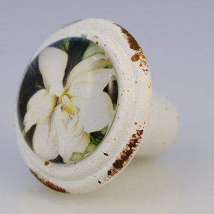 CHARLESTON KNOB COMPANY Retro Southern Living Magnolia Flower Knob (Set of 4)