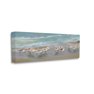 STUPELL INDUSTRIES Sandpiper Flock Shoreline Splashing by Rick Novak - Wrapped Canvas Painting