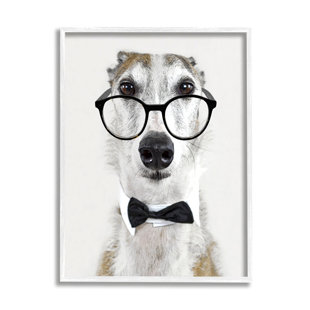 STUPELL INDUSTRIES " Funny Dog Formal Bowtie Glasses "