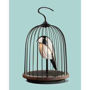 DAQI CONCEPT Jingoo Portable Decorative Radio with Bluetooth