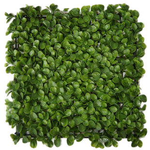 GREENSMART DEKOR 1.5 ft. H x 1.5 ft. W Artificial Cabo Fence Panel (Set of 4)