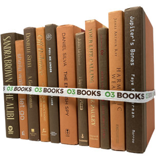 O3 BOOKS Spiced Cider Decorative Books Orange and Dark Brown