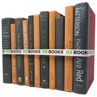 O3 BOOKS Citrus Zest Decorative Books Orange and Gray