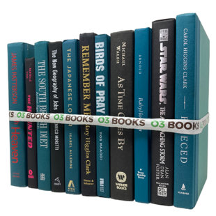O3 BOOKS Bold Contrast Decorative Books Black and Teal
