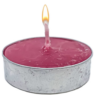 NICOLE FANTINI COLLECTION Black Cherry Tealight Candles - 360 ct.