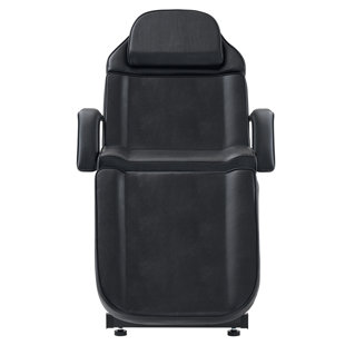 INBOX ZERO Power Adjustable Reclining Tattoo Spa Massage Chair with Remote