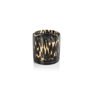 ZODAX Cedar Leaf & Hinoki Cypress Scented Jar Candle