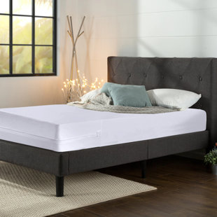 ALWYN HOME Ultra Soft-Premium Zippered Mattress Protector, Water Proof, Fits Mattress 10-Inch to 14-Inch