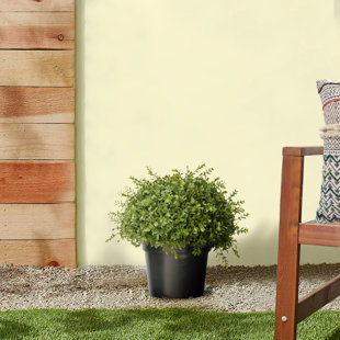 NATIONAL TREE CO. 15'' Faux Foliage Plant in Pot