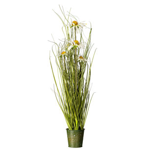 BEACHCREST HOME™ Artificial Potted Green Grass and Daisies