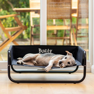 ARCHIE & OSCAR Katia Polyester Pet Bed