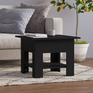 EBERN DESIGNS Greydi Coffee Table with Storage