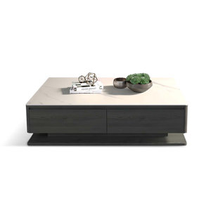 GREAT DEALS TRADING 51.18" White&Black Sintered Stone + Solid + Manufactured Wood Rectangular Coffee Table