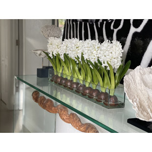 CFA DESIGN GROUP Hyancinths Floral Arrangement in Planter