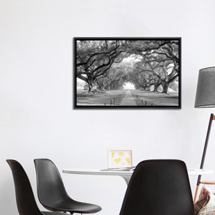 THE TWILLERY CO.® Brick Path Through Alley of Oak Trees, Louisiana, New Orleans, USA Black and White I by Panoramic Images - Graphic Art Print on Canvas