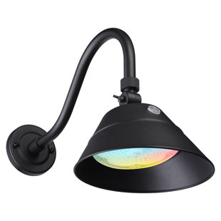 BREAKWATER BAY Dwayne 3CCT LED Dusk to Dawn Barn Light, Gooseneck Wall Sconce, Swivel Head, IP65 Waterproof