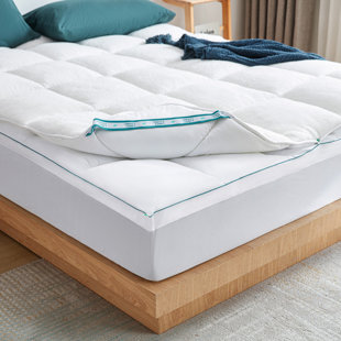 ALWYN HOME Finzel 2" Wool Mattress Topper