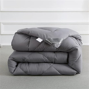 ALWYN HOME Marsing King All Season Microfiber Down Alternative Comforter