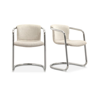ALLMODERN Higbee Dining Chair (Set of 2)