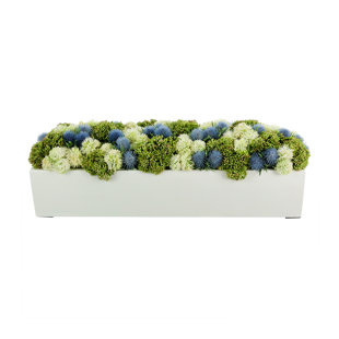 PRIMRUE Murdock Sedum and Thistle Arranged in Fiberstone Planter