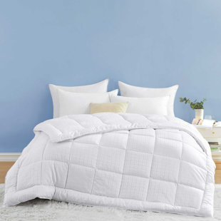 ALWYN HOME All Season Polyester Down Alternative Comforter/Duvet Insert