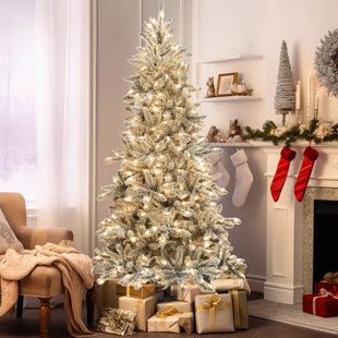 THE HOLIDAY AISLE® Haleem 6.5' Lighted Pine Christmas Tree