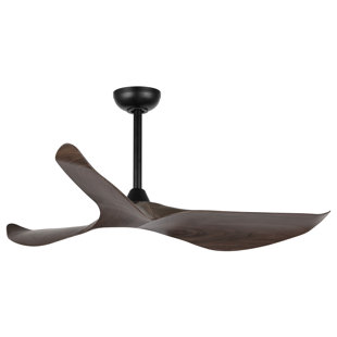 IVY BRONX Emit 52" DC Ceiling Fan with Remote, Indoor Ceiling Fan, 3 ABS Blades