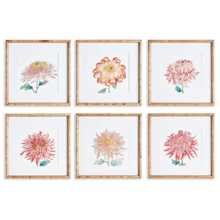 NAPA HOME AND GARDEN Colorful Chrysanthemum Framed On Paper 6 Pieces Print (Set of 6)