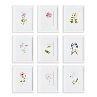 NAPA HOME AND GARDEN Framed On Paper 9 Pieces Print (Set of 9)
