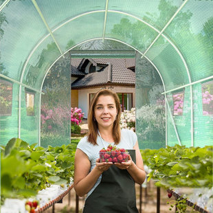 CUOOTE Hobby Greenhouse