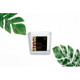 SUKIE'S CANDLE CO. Blood Orange Scented Jar Candle