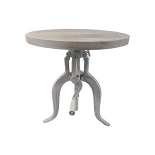 WILLISTON FORGE Neche Solid Wood Top End Table