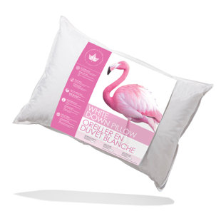 CANADIAN DOWN & FEATHER COMPANY Down Medium Pillow