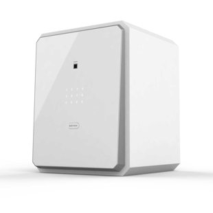 BOFON Fingerprint Password Safe Box, Cabinets for Home Office, Lock Box, Security Box, Biometric Safe