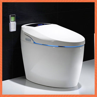 ALIGAMENT 1.32 GPF (Water Efficient) Elongated One Piece Toilet (Seat Included)