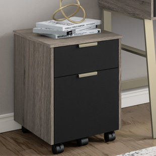 WILLA ARLO™ INTERIORS Vickers Home Office File Cabinet