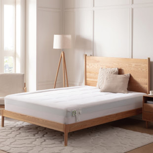 WAYFAIR SLEEP™ Wayfair Sleep 5.5" Gel Memory Foam Mattress Topper with Quilted Pad Top