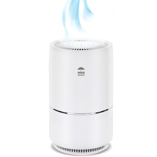 WBM SMART WBM Air Purifier for 1440 Cubic Feet, True HEPA Filter for Allergens, Mold, and Germs