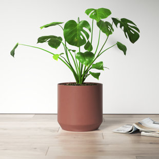 ALLMODERN Parsons Handmade Ceramic Pot Planter