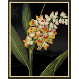 WENDOVER ART GROUP Poetic Botanicals " Poetic Botanicals 6 " by Lillian August