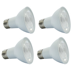 SunLight2® Builders Edition PAR20 120V Single CCT LED Bulbs 25° Beam Angle, White Finish. (Set of 4)