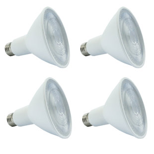 SUNLIGHT2 12 Watt, PAR30 LED, Dimmable Light Bulb, E26/Medium (Standard) Base (Set of 4)